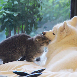 青娱乐福利导航
