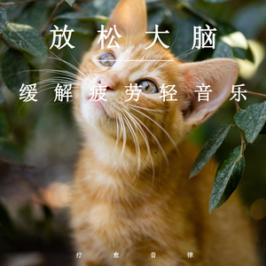 青娱乐福利导航
